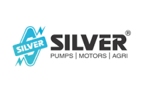 Silver-Pumps